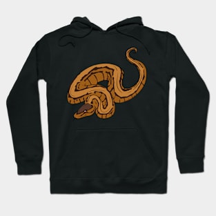 Pinstripe Ball Python Hoodie